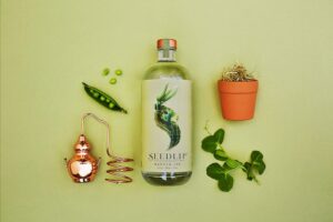 Seedlip a new customer experience