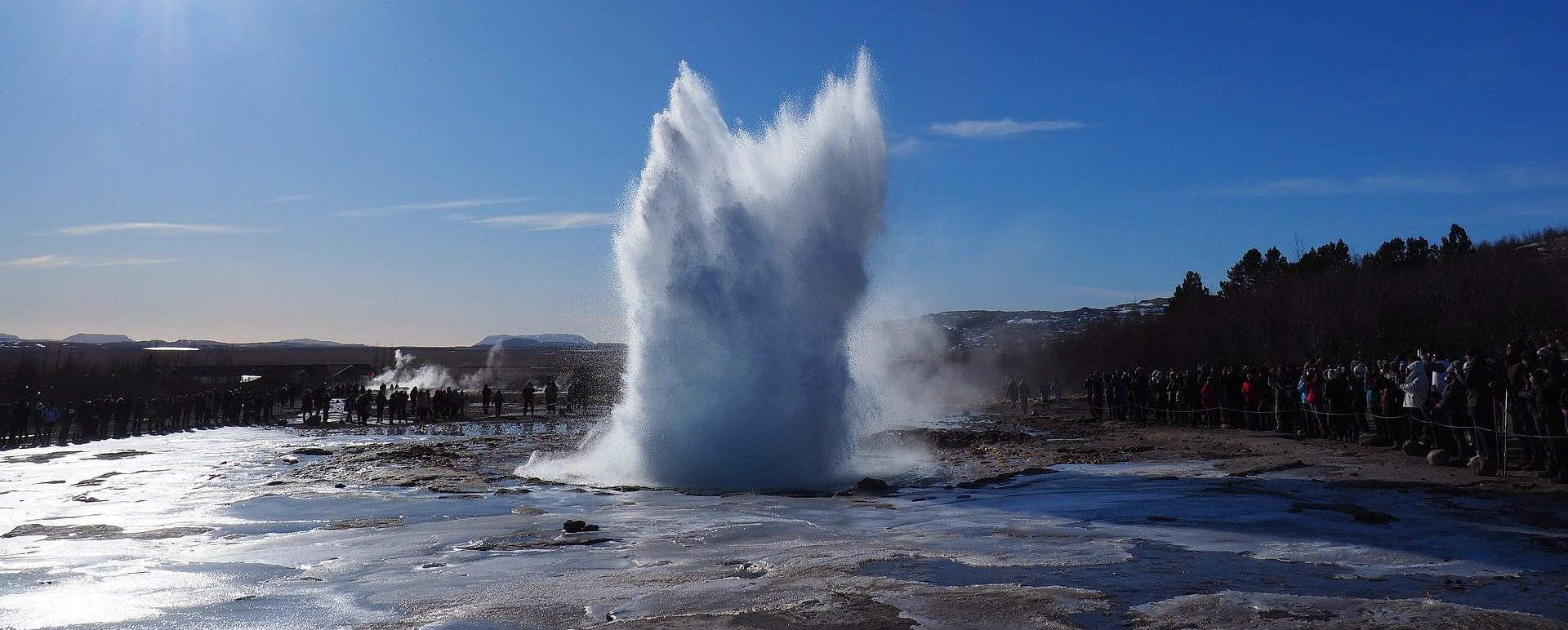 A geyser erupts similar to the DTC personal health and wellness industry.