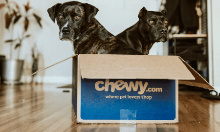 Chewy’s sales continue to grow largely due to their fantastic customer service
