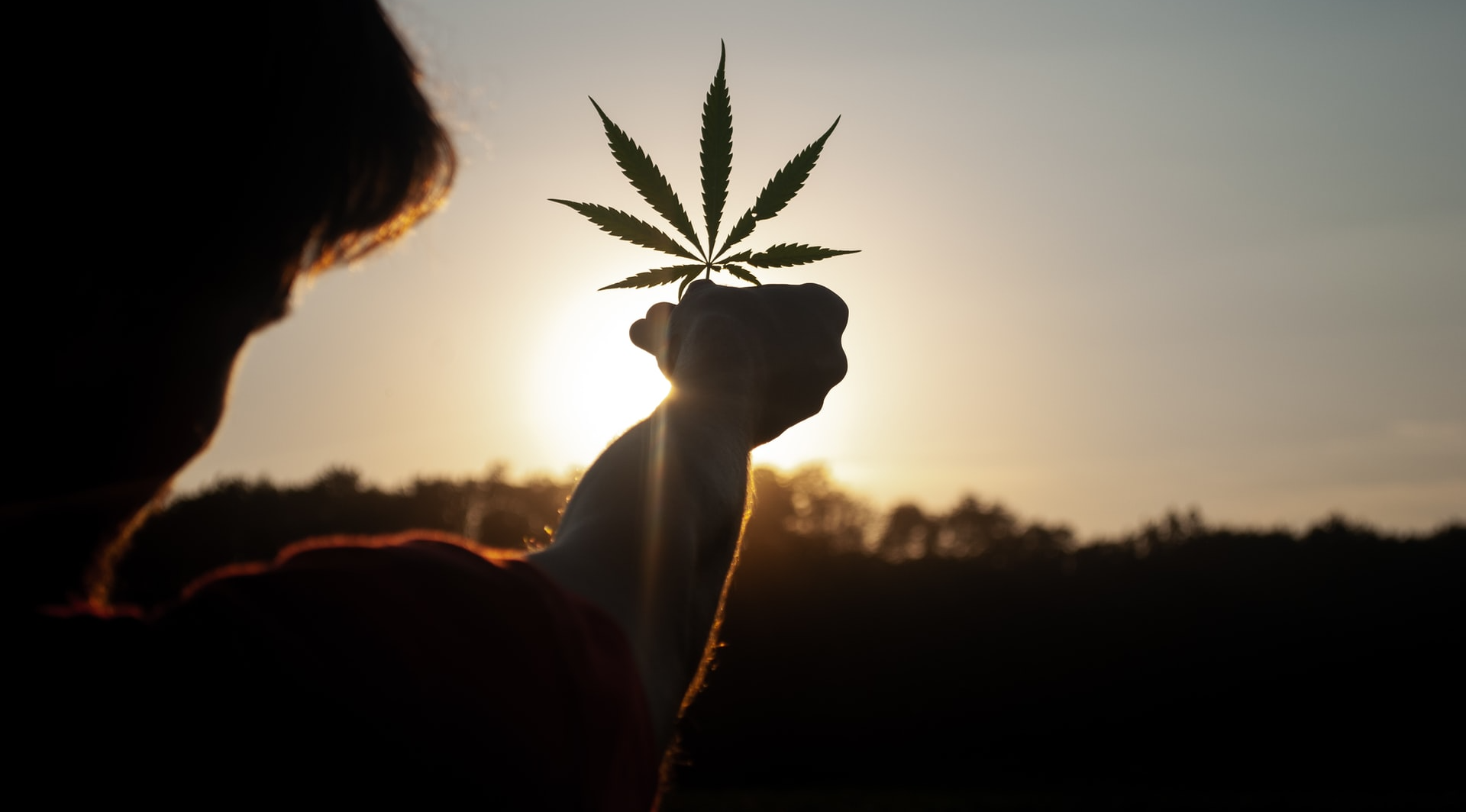 As the cannabis industry continues to evolve, guerilla marketing tactics have worked well, especially when more traditional methods won’t (or can’t) work.