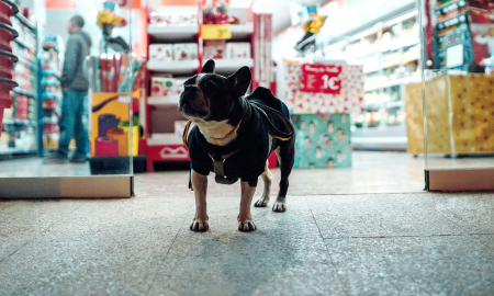 Pet Supplies Plus launches new customer loyalty program.