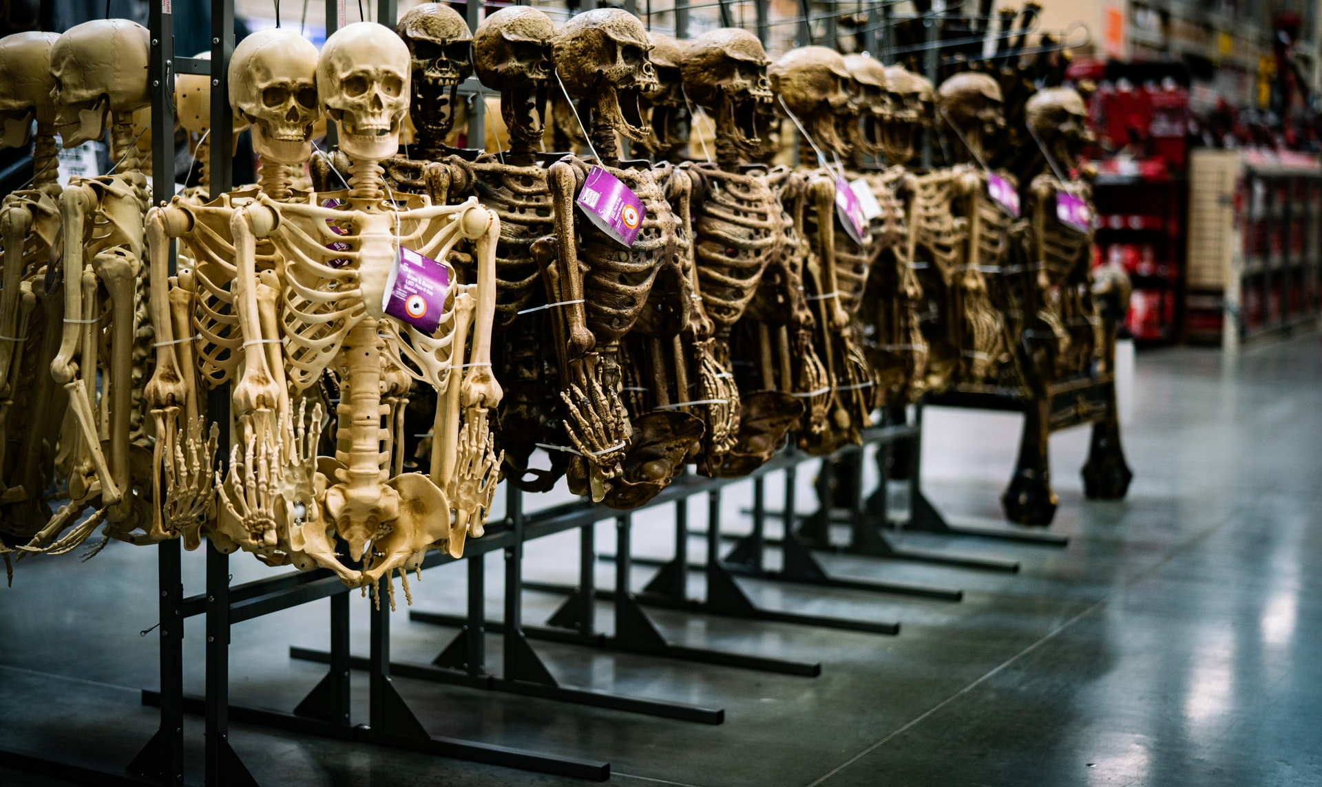 Home Depot is bringing back Skelly, a fan favorite 12 foot skeleton display.